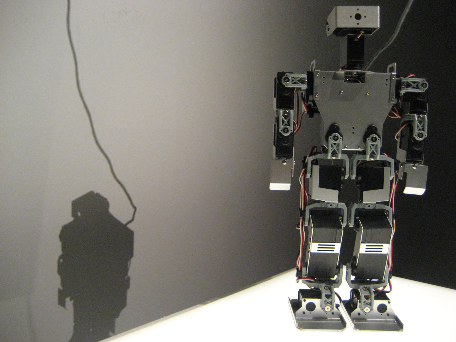 robot and shadow (adapted) (Image by Hsing Wei [CC BY 2.0] via Flickr)