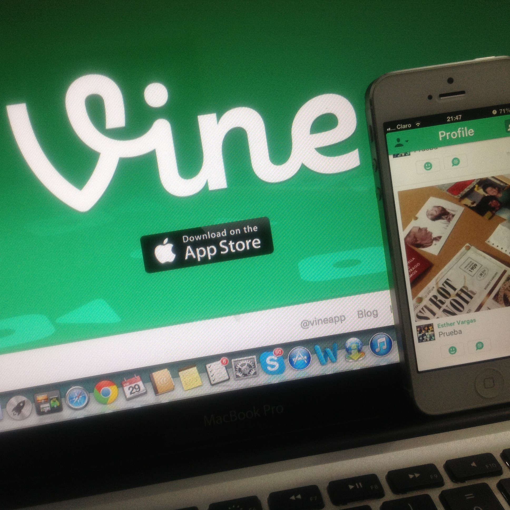 Vine, Twitter (adapted) (Image by Esther Vargas [CC BY-SA 2.0] via Flickr)