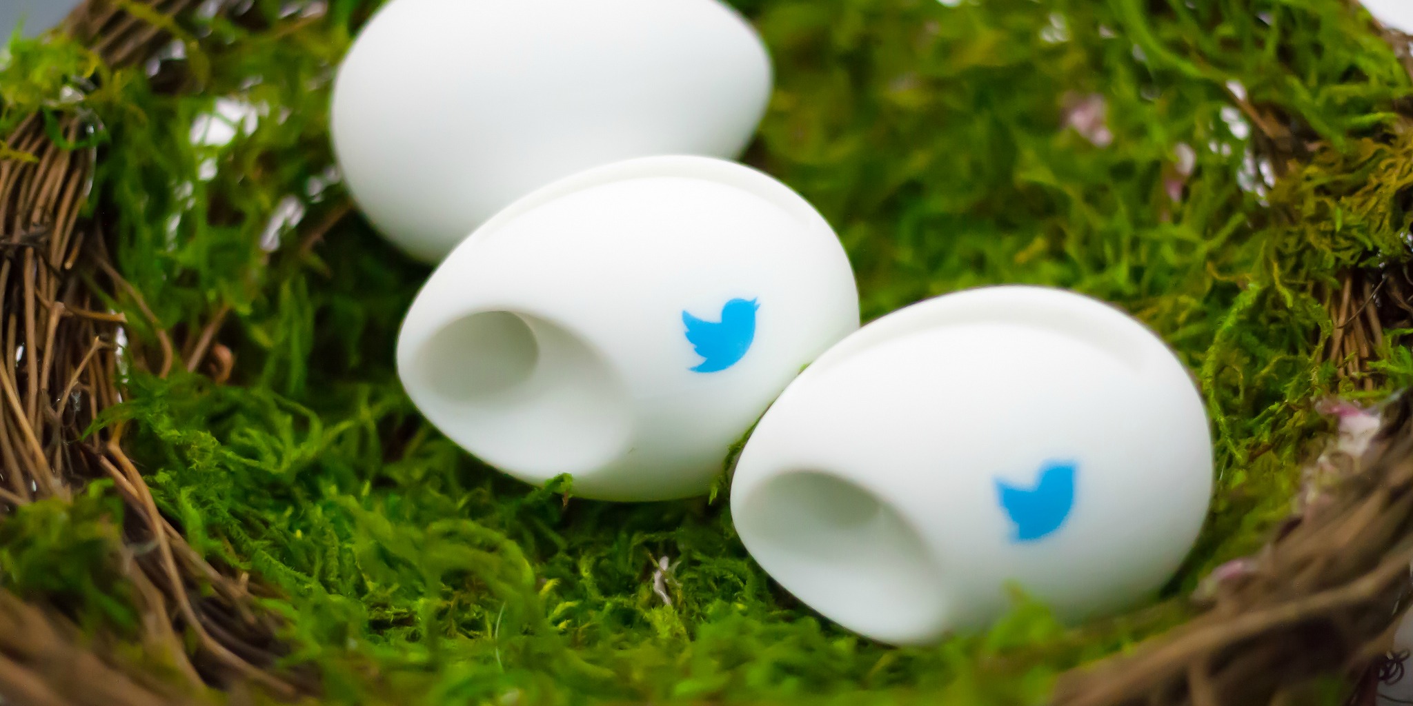 Twitter Eggs at OSCON (adapted) (Image by Garrett Heath [CC BY 2.0] via flickr)