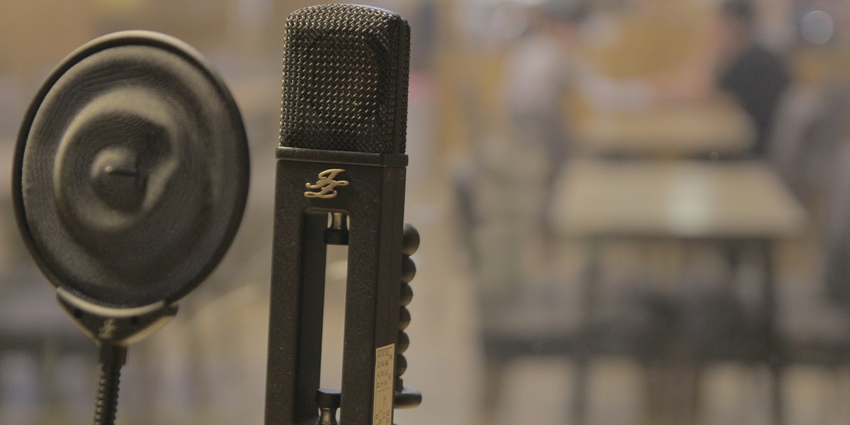 Mic (adapted) (Image by mindthaw [CC0 Public Domain] via Pixabay)