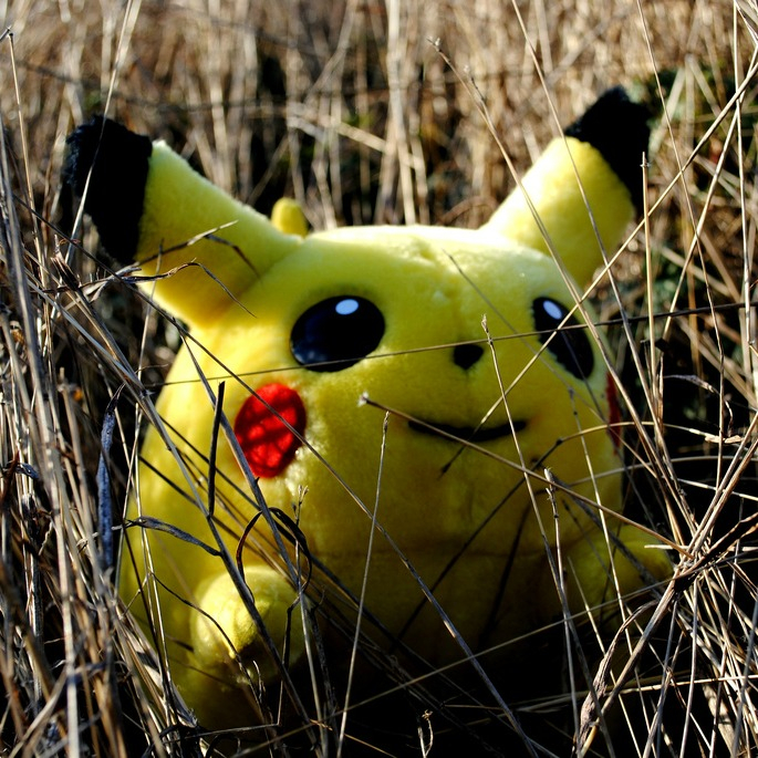 WILD PIKACHU APPEARS (adapted) (Image by Sadie Hernandez [CC BY 2.0] via Flickr)