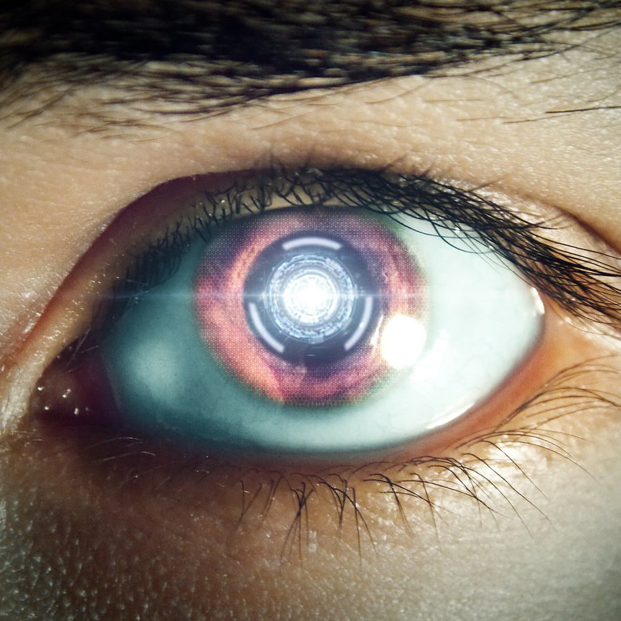 Future (Image by thehorriblejoke (CC0 Public Domain) via Pixabay)