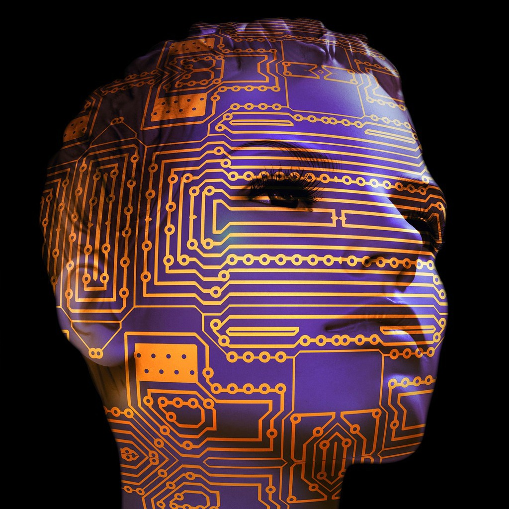 display-dummy (Image by geralt [CC0] via pixabay)