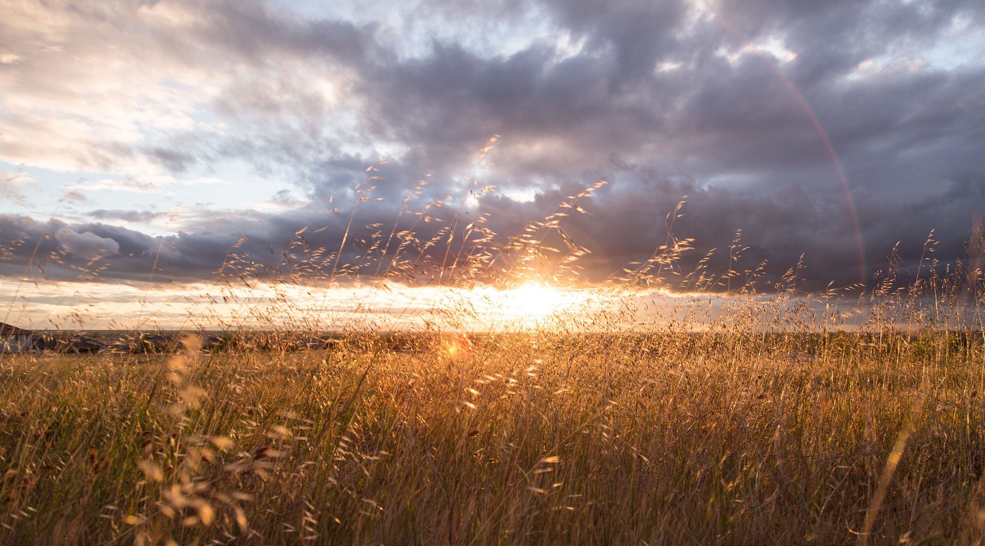 sunset(image by Unsplash[CC0 Public Domain] via Pixabay)