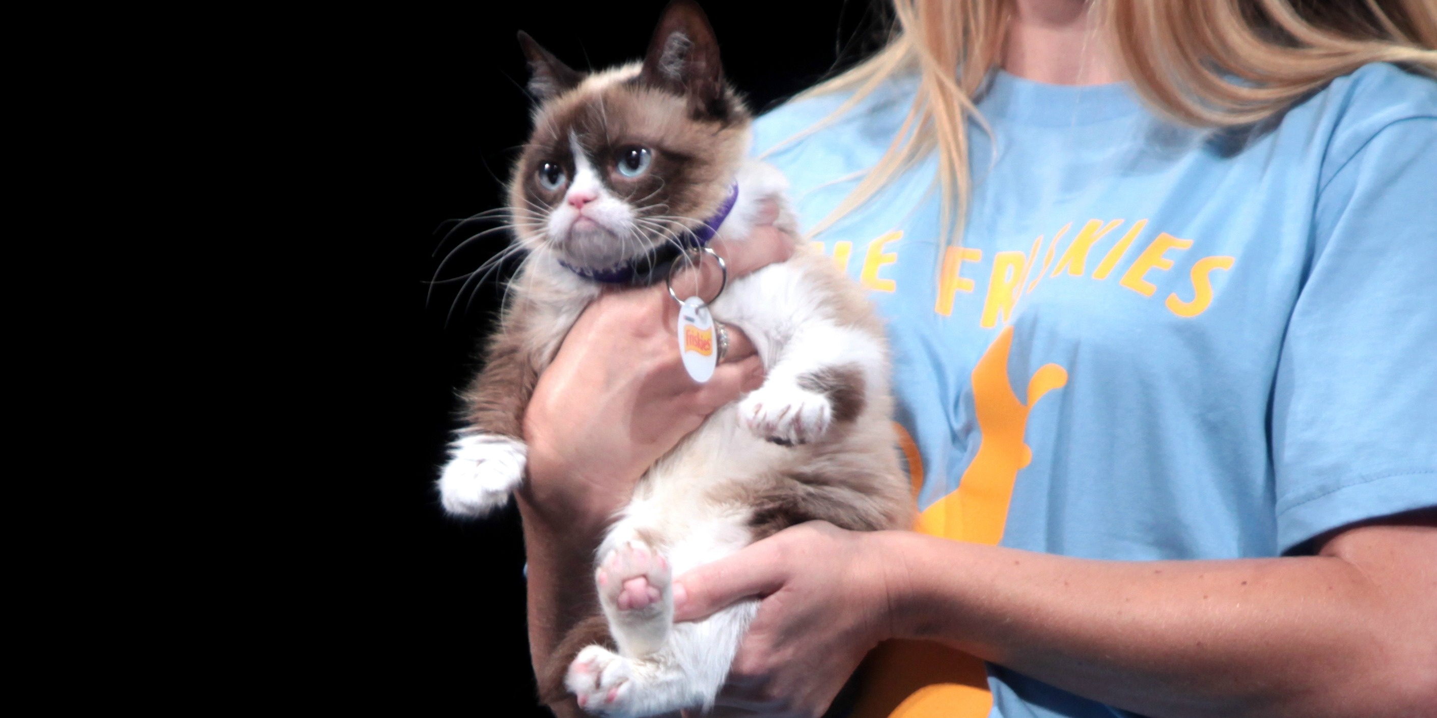 Grumpy Cat (adapted) (Image by Gage Skidmore [CC BY-SA 2.0] via Flickr)