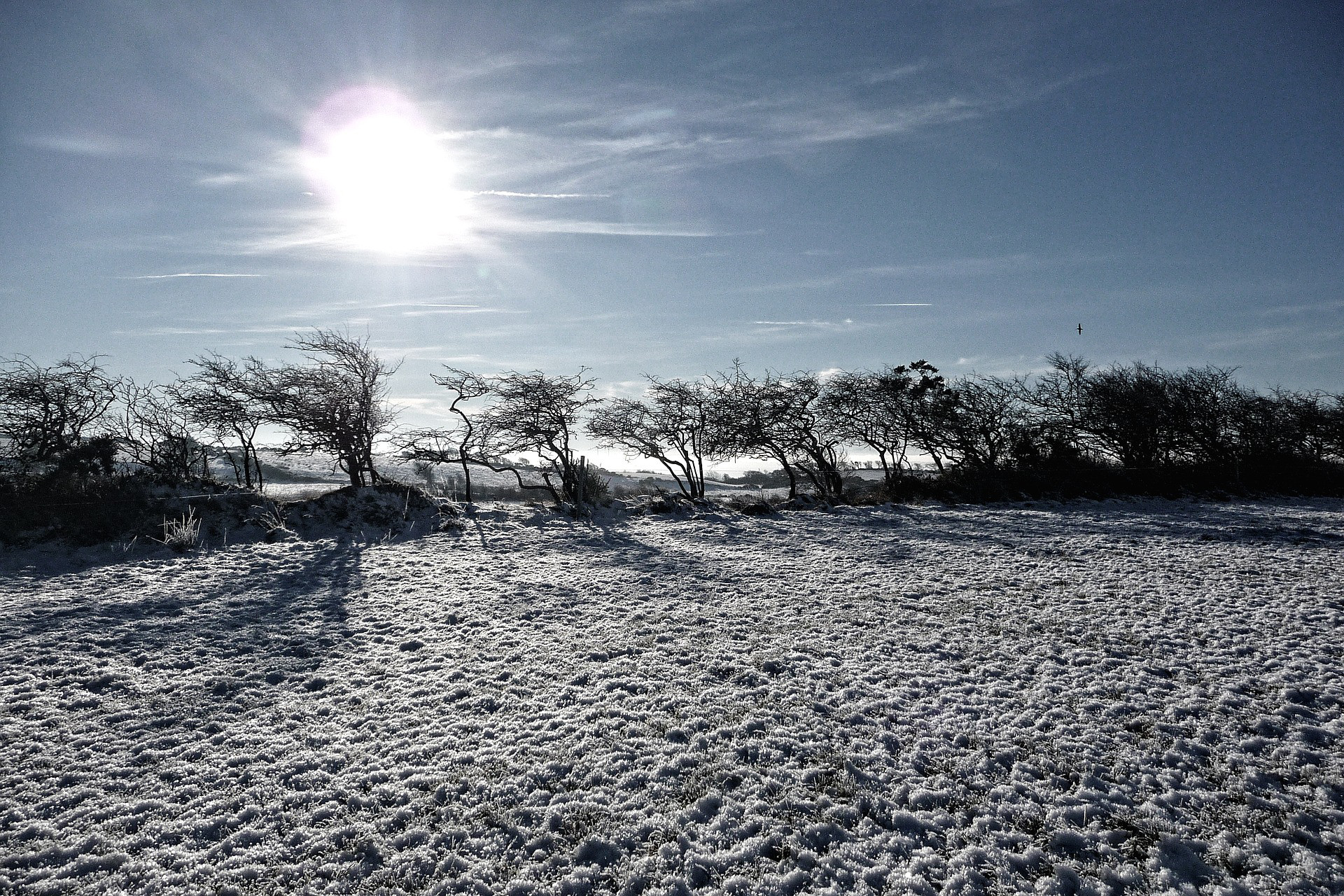Irland, Ireland, Natur, Sonne, Schnee, Frost, Winter, Sonnenstrahlen, Weihnachten