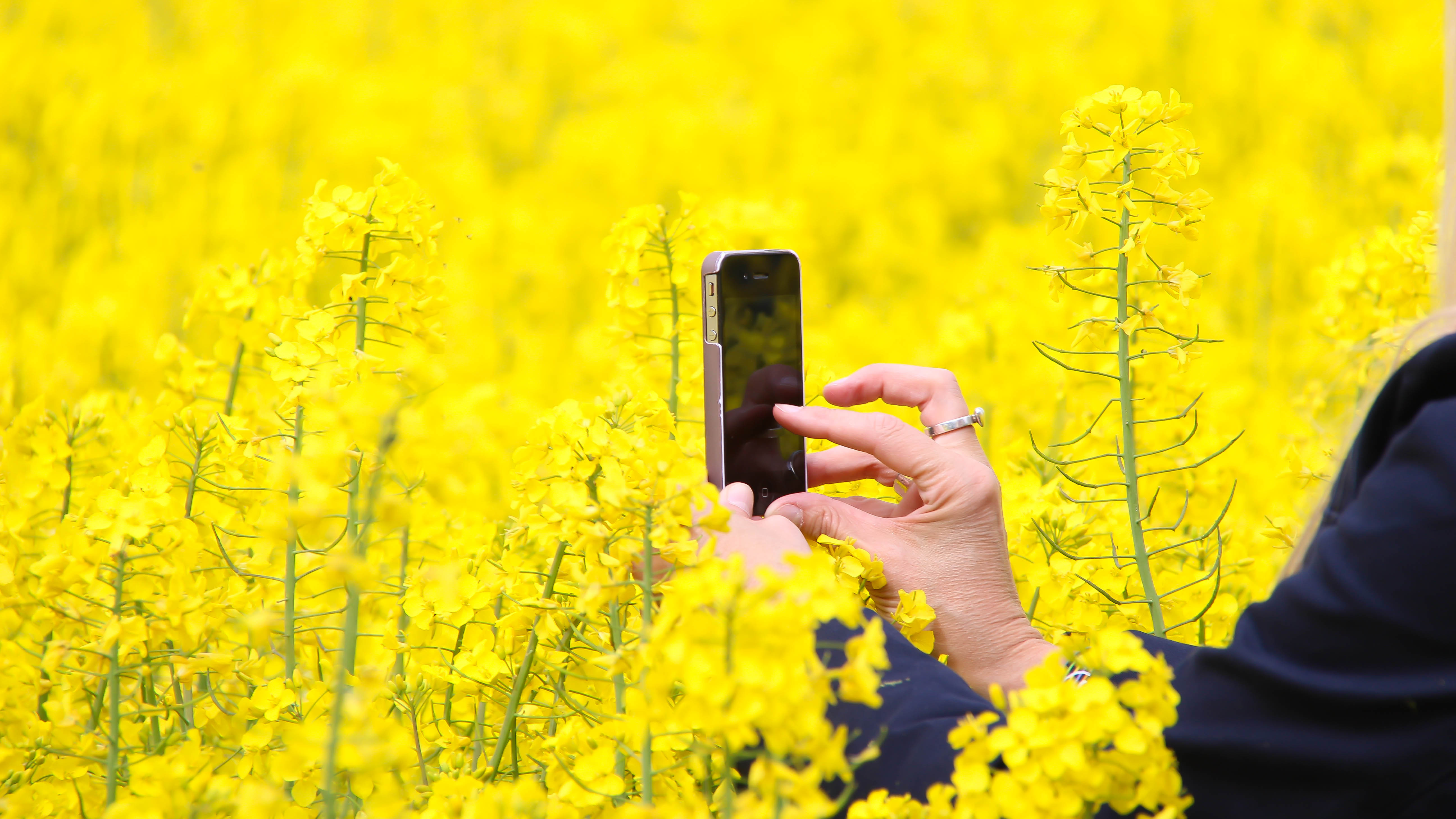 Taking a close up (adapted) (Image by Susanne Nilsson [CC BY-SA 20] via flickr)