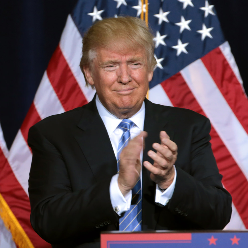 Donald Trump (adapted) (Image by Gage Skidmore [CC BY-SA 2.0] via Flickr)