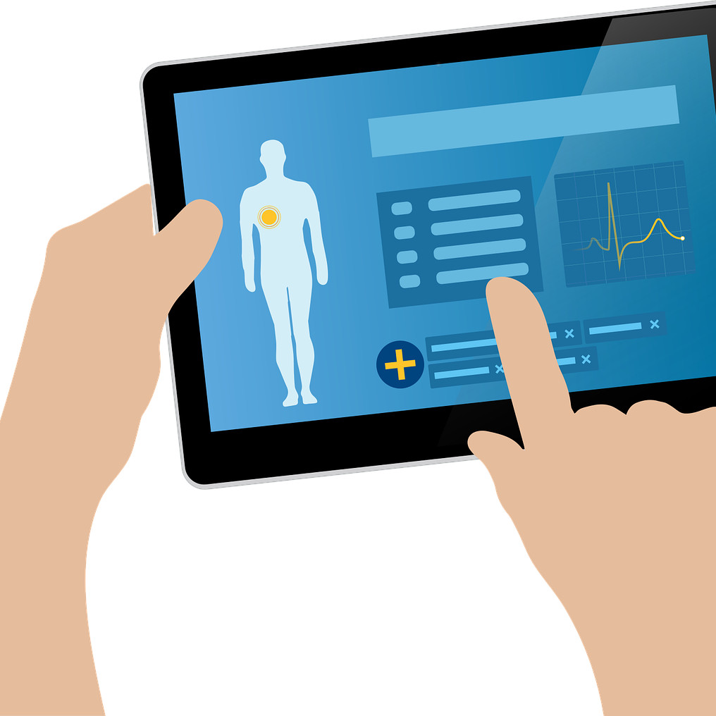 Ehr (adapted) (Image by mcmurryjulie [CC0 Public Domain] via pixabay)