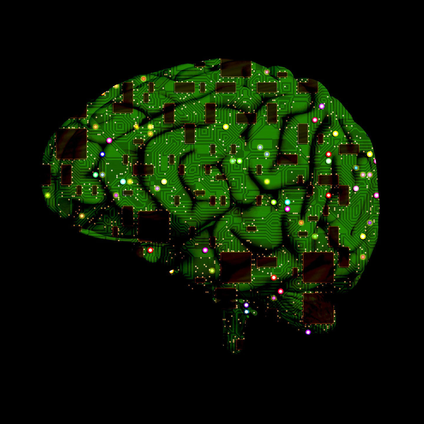 Brain (adapted) (Image by PeteLinforth [CC0 Public Domain] via pixabay)