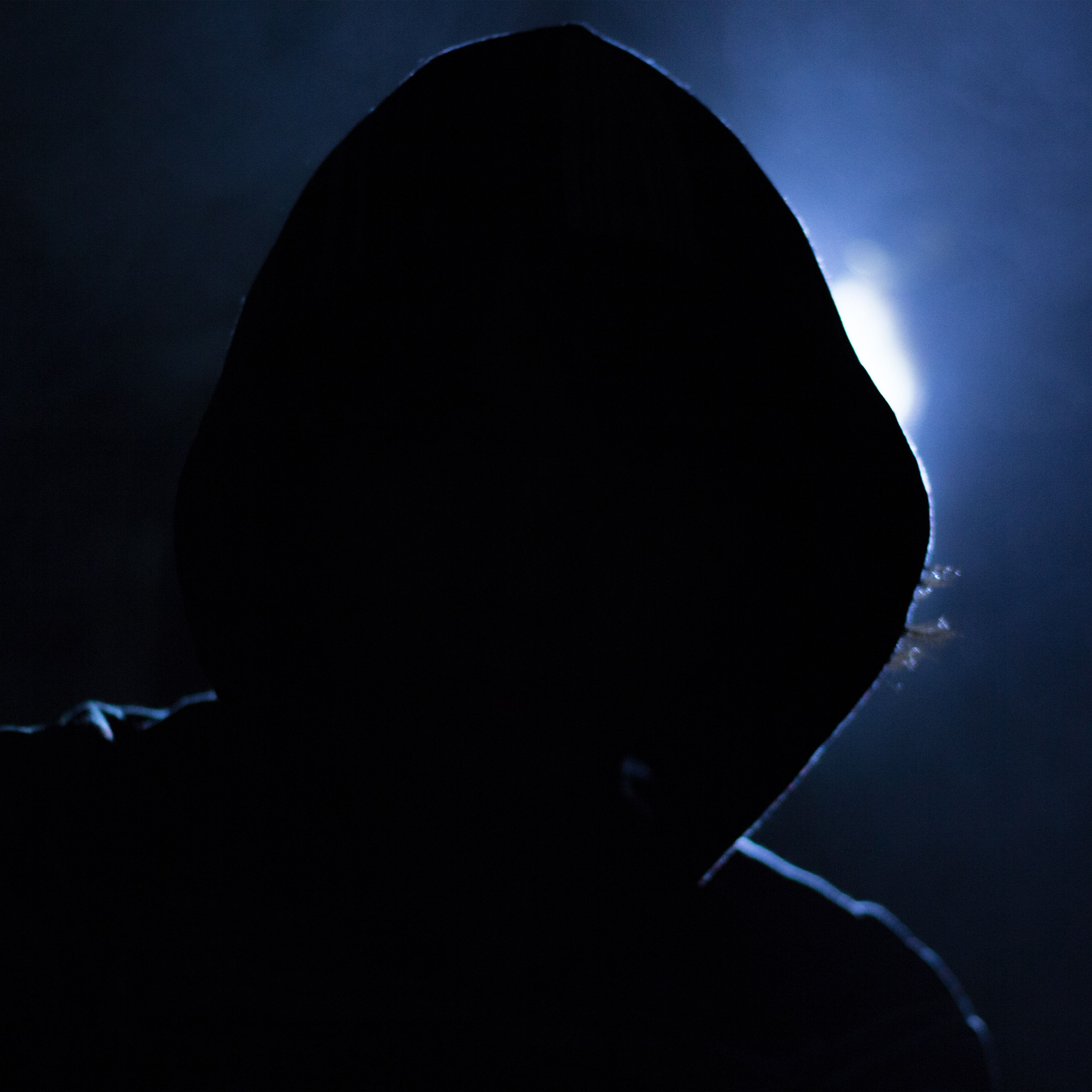 Hacker (adapted) (Image by xusenru [CC0 Public Domain] via pixabay)