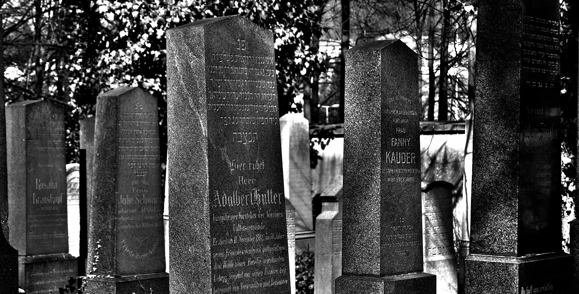 Friedhof (adapted) (image by Mrtvolka666 [CC0] via pixabay)