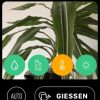 Parrot-Pot-Flower-Power-iOS-6