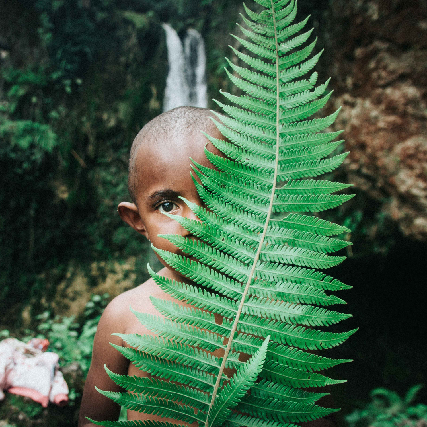 Lost-In-The-Wilderness-adapted-Image-by-Asso-Myron-CC0-Public-Domain-via-Unsplash