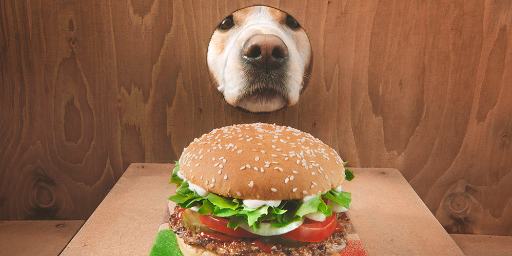 BK_WhopperDog_2