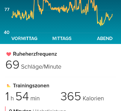 Fitbit App Herzfrequenz