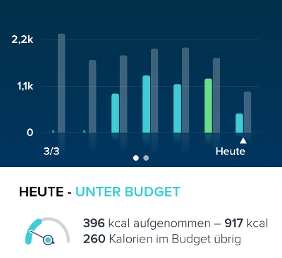 Fitbit App Lebensmittel