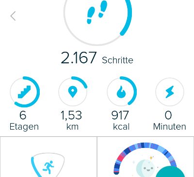 Fitbit App Startbildschirm