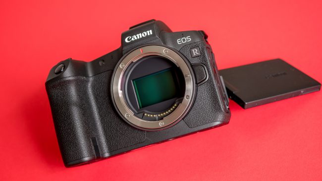 Canon EOS R Sensor und Display