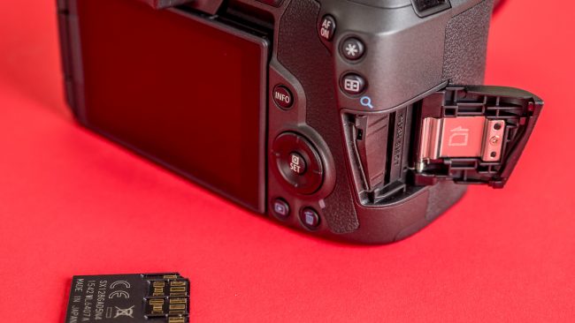 Canon EOS R SD-Slot