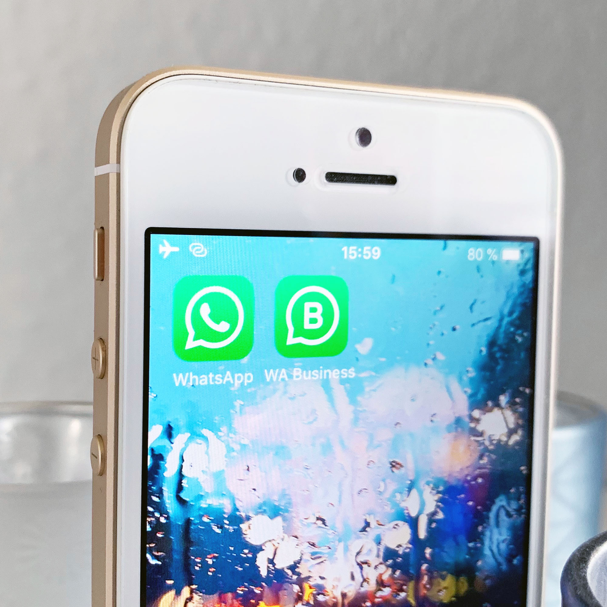 WhatsApp für Privat- und Geschäftsnutzer