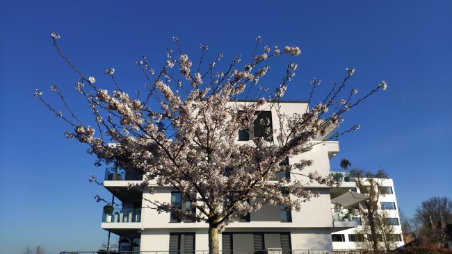 Xiaomi Mi Mix 3 - Testfoto