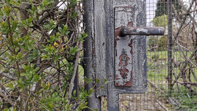 Huawei P30 Pro Testfoto - Image by Berti Kolbow-Lehradt