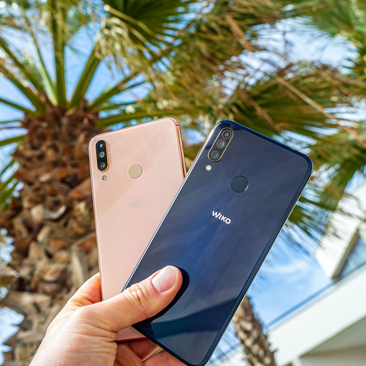 Wiko View 3 Gold und Wiko View 3 Pro Anthracite Blue/Gold