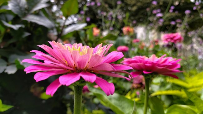 Galaxy A80 Kameratest
