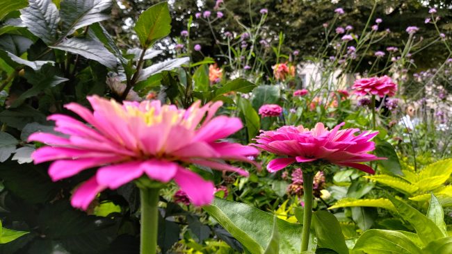 Galaxy A80 Kameratest