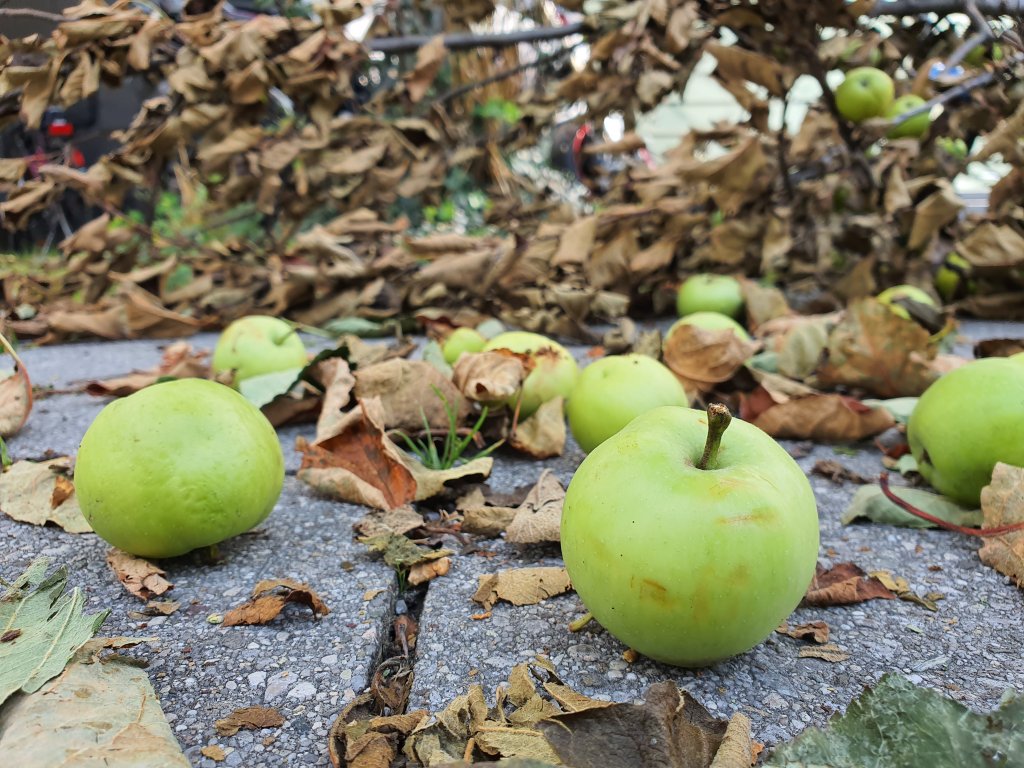 Galaxy Note 10 Kameratest