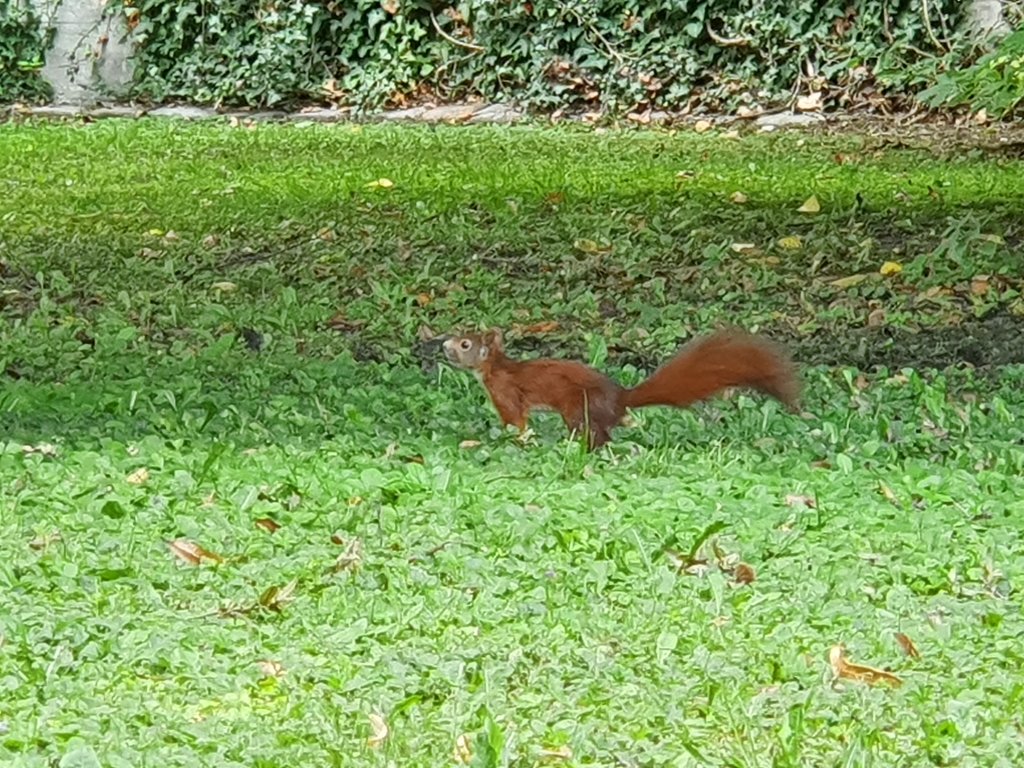 Galaxy Note 10 Kameratest