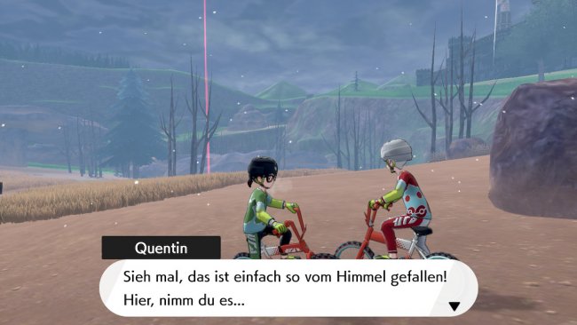 Screenshot aus Pokémon Schwert von Philipp Bader. Spiel von Nintendo