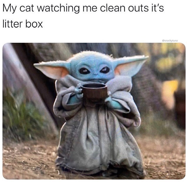 baby_yoda_meme