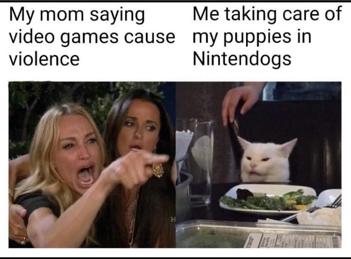 cat_meme1