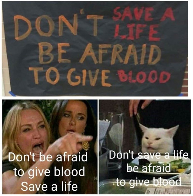 cat_meme2
