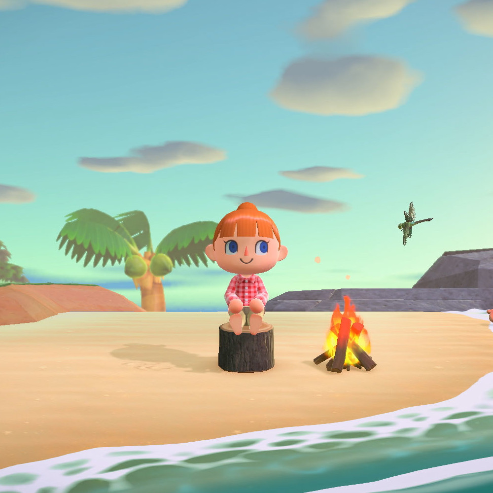 Animal Crossing New Horizons