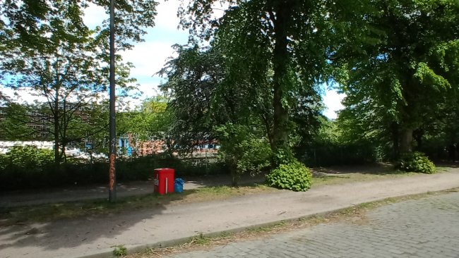 Bild im Grünen mit dem Wiko View 4 im Test