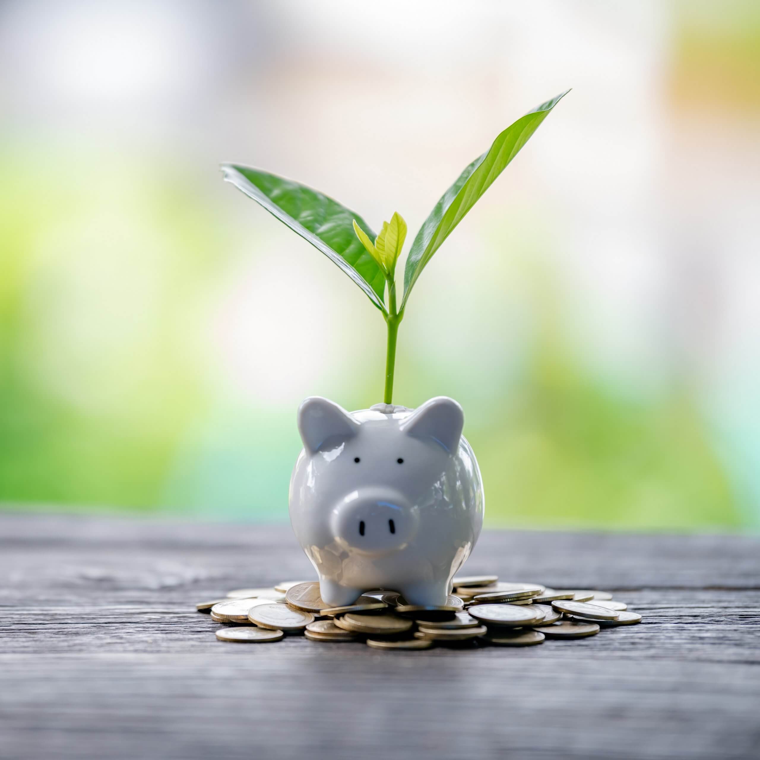 Titelbild Nachhaltige Banken von EKKAPON via Adobe Stock