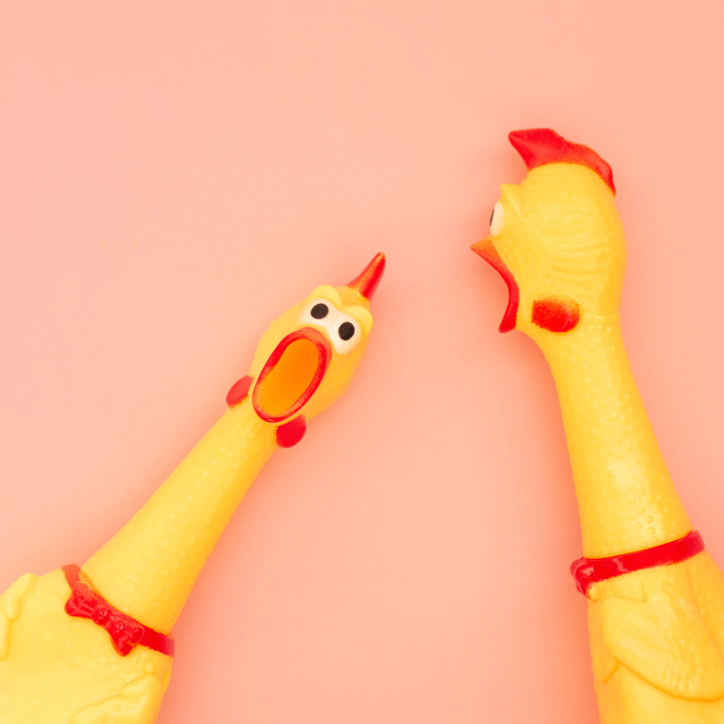 Zwei schreiende Gummi-Hühner vor einer rosanen Wand - Titelbild zu "Pranks - Unterhaltsam oder einfach nur fies?" / Foto von © bodnarphoto via Adobe Stock
