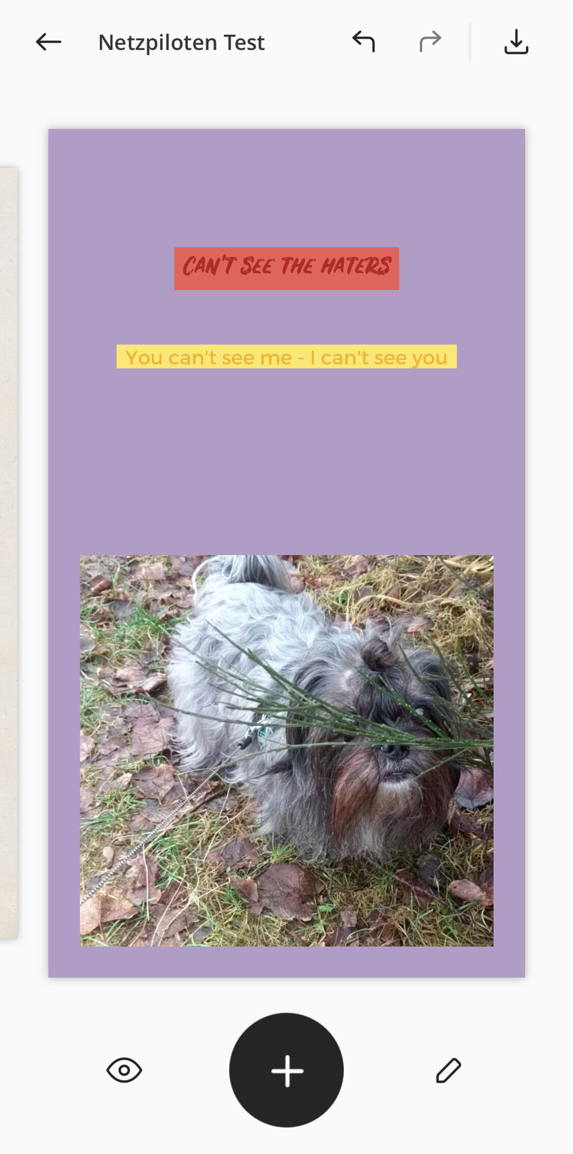 Screenshot aus der Unfold-App