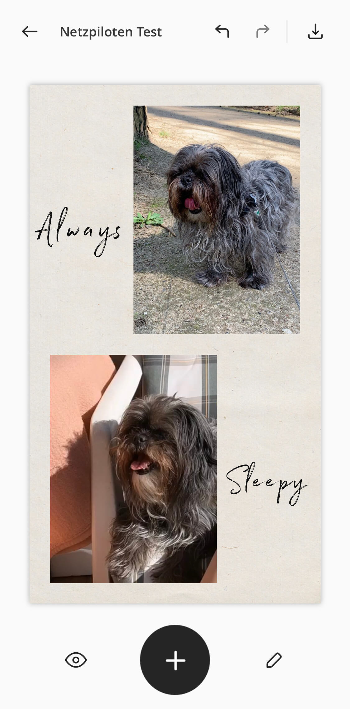 Screenshot aus der Unfold-App