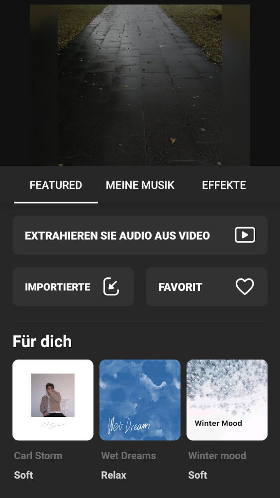 Zweiter Screenshot des Video-Editing Programm Inshot mit Beispiel Video