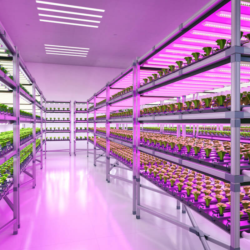 Beitragsbild Vertical Farming: Das Innere einer Vertical Farm.