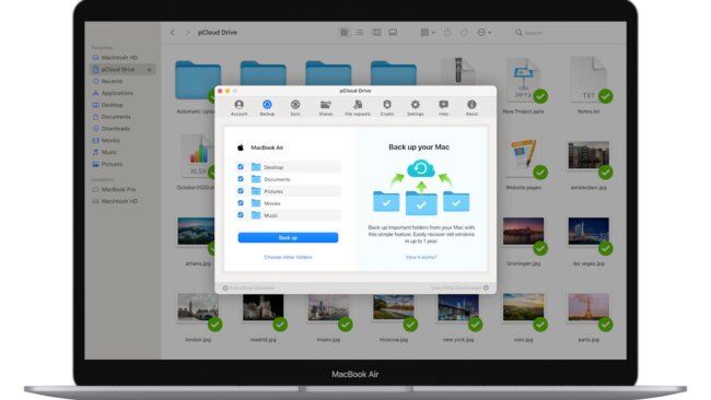 Grafik pcloud Mac backup