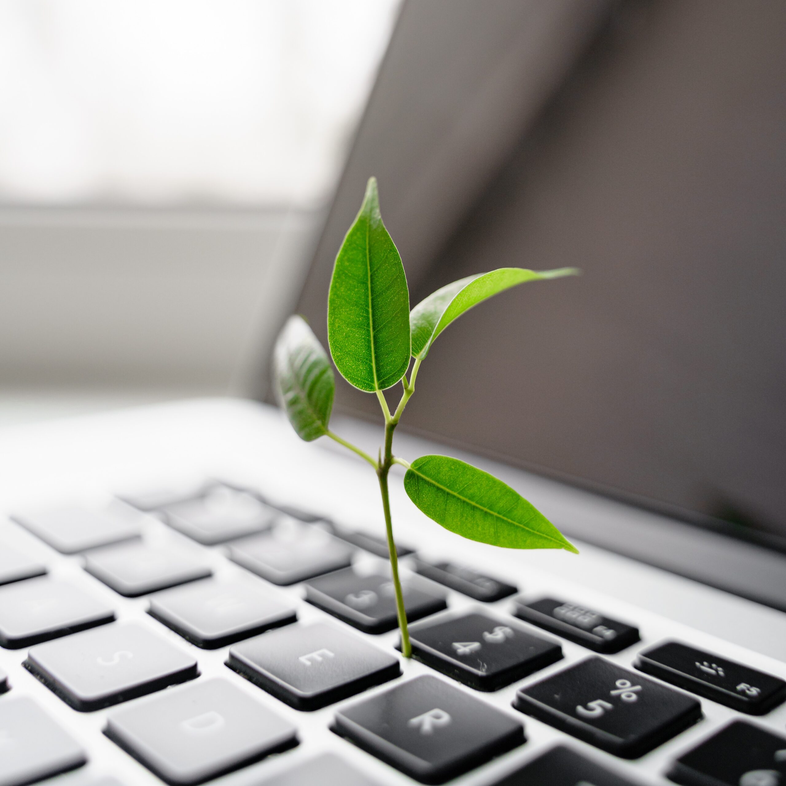 gebrauchte Laptops als nachhaltigere Option