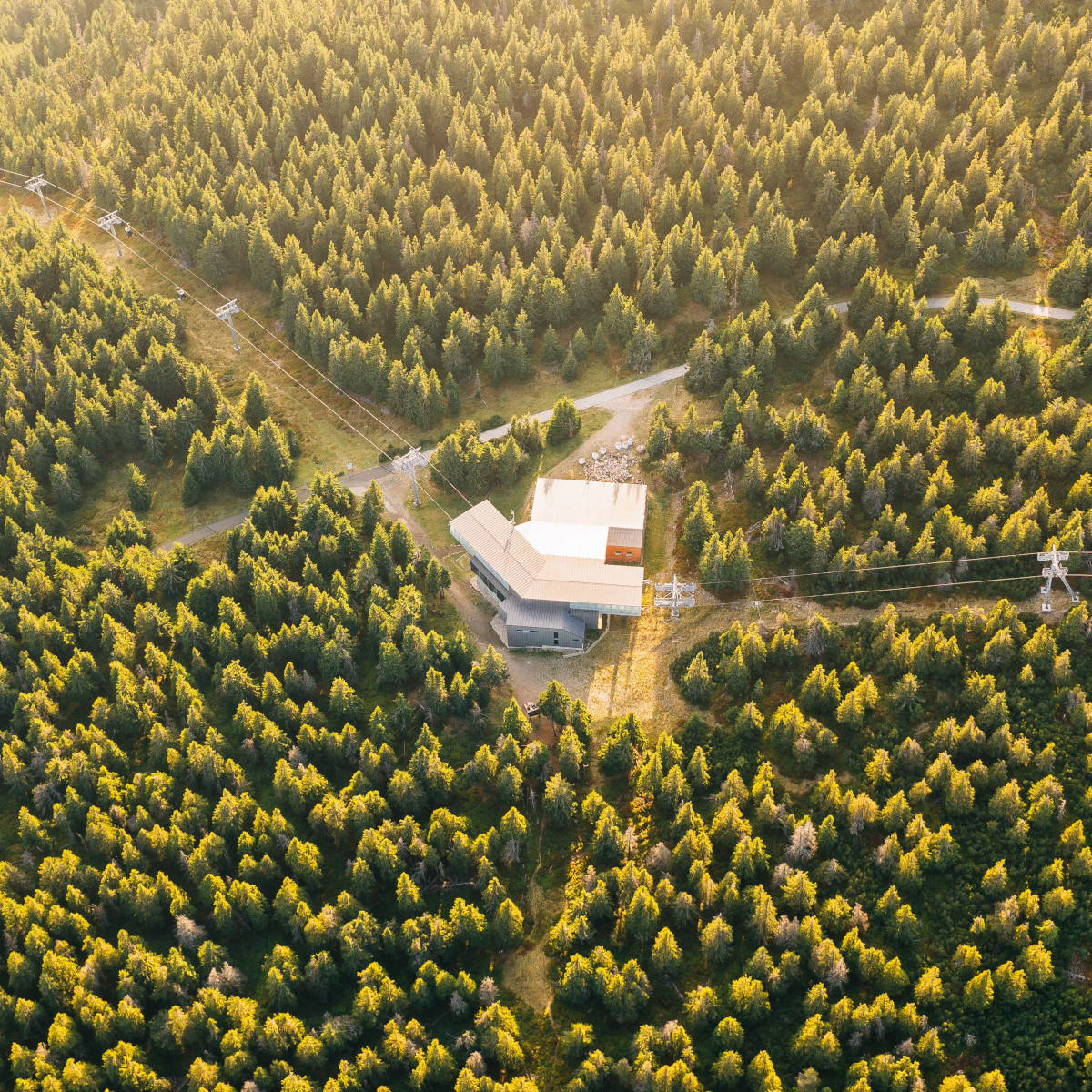 Ein Rechenzentrum im Wald, umgeben von Bäumen